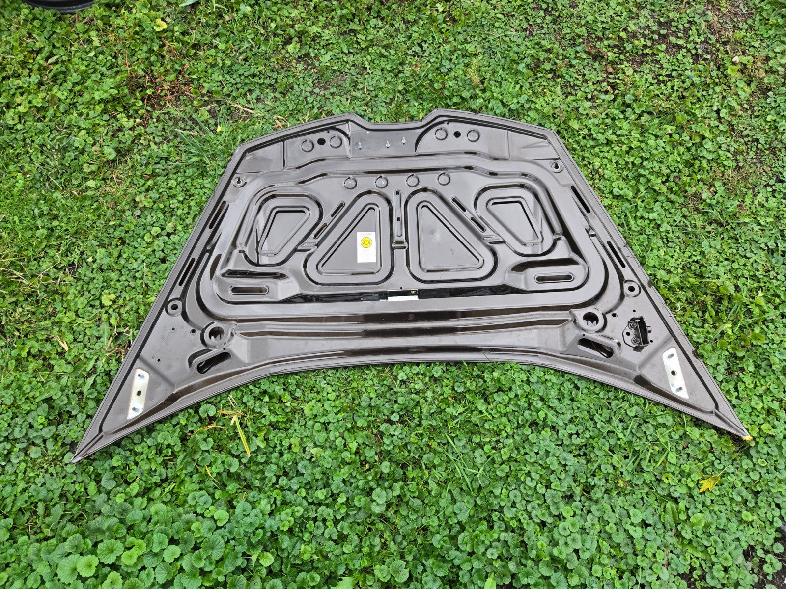 2015 - 2023 Lamborghini Huracan Front Hood Bonet Lid Panel 4T0823021C OEM