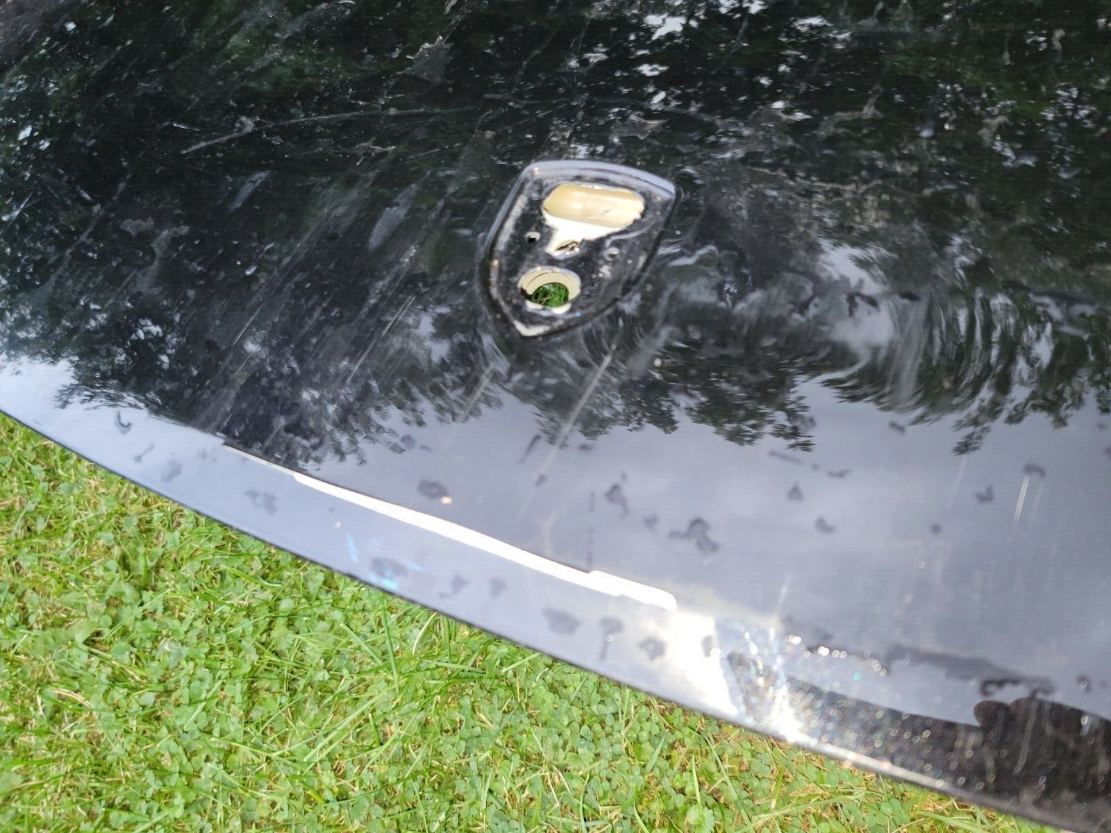 2020 2021 2022 Porsche Taycan black Front Hood Bonnet Shell Cover Factory Oem 