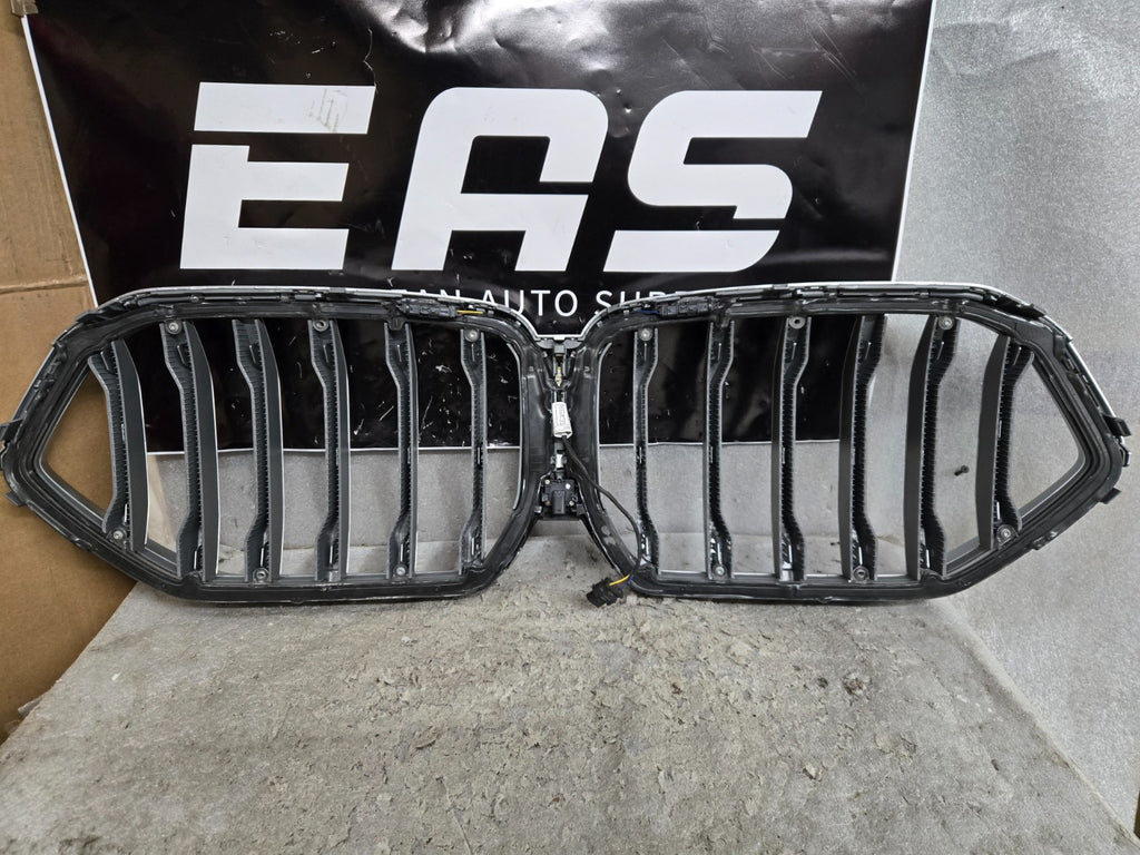2025 2026 BMW G05 G06 LCI X5 X6 Illuminated Iconic Glow Light Grille Silver OEM
