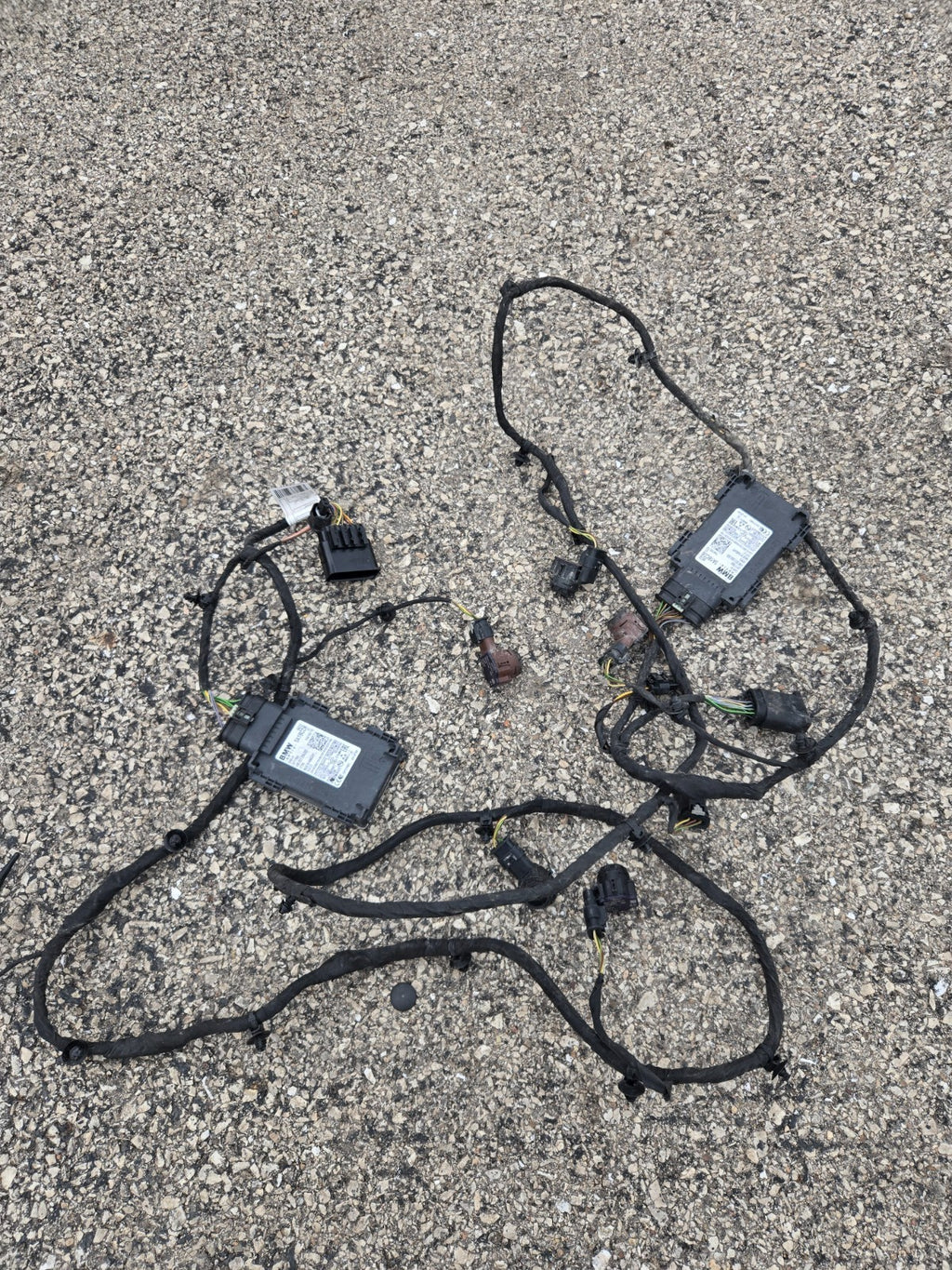 2019-2022 BMW X5 G05 Front Bumper Parking Sensor Harness 8736618 8736616 OEM