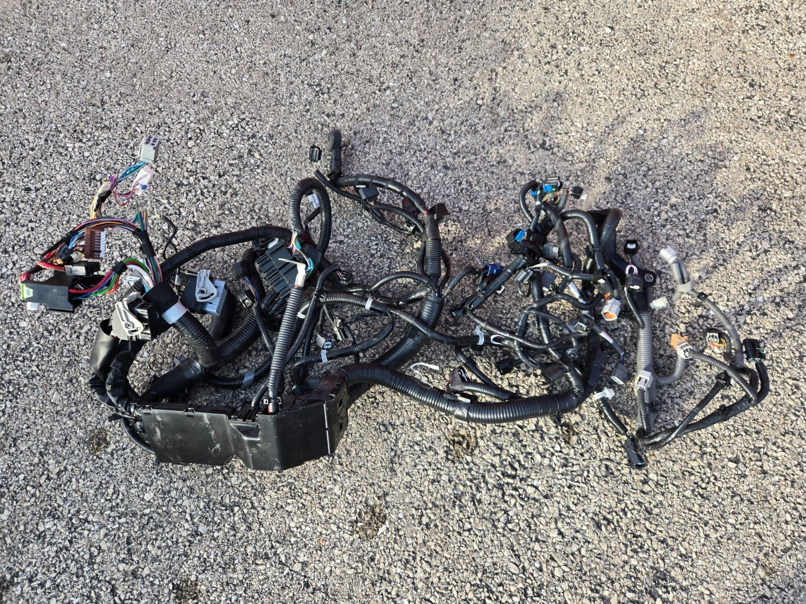 Genuine Nissan Engine Wiring Harness 24011-6EN0B OEM
