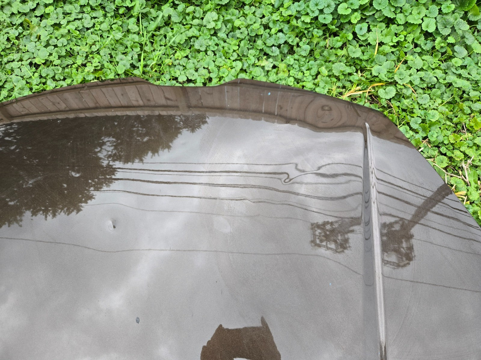 2015 - 2023 Lamborghini Huracan Front Hood Bonet Lid Panel 4T0823021C OEM
