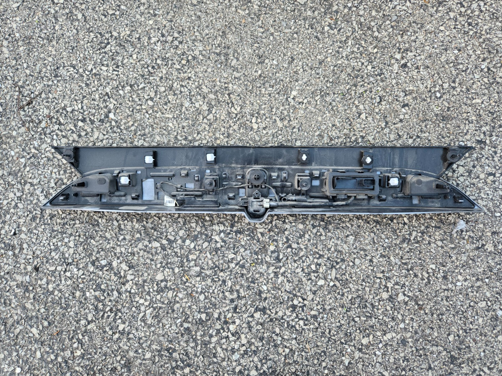 17-24 Chrysler Pacifica Liftgate Applique License Lamp w/ Camera 5RL88JSCAH OEM