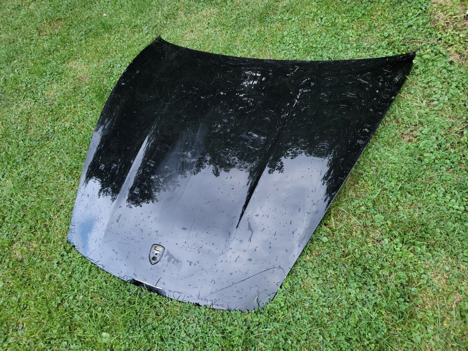 2020 2021 2022 Porsche Taycan black Front Hood Bonnet Shell Cover Factory Oem 