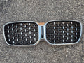 2022-2024 BMW X4 G02 OEM FRONT UPPER KIDNEY GRILLE | SILVER & BLACK 10627111