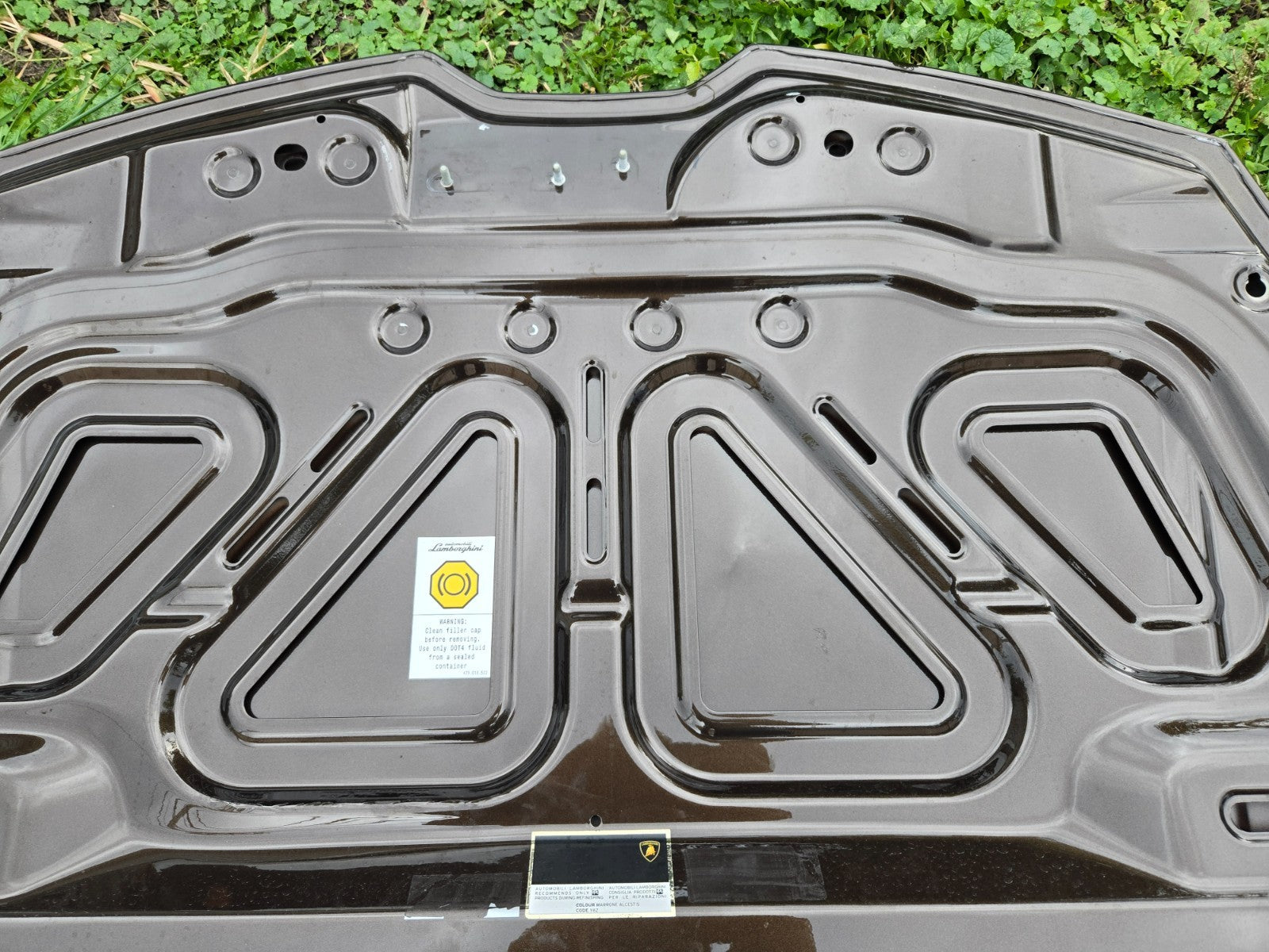 2015 - 2023 Lamborghini Huracan Front Hood Bonet Lid Panel 4T0823021C OEM