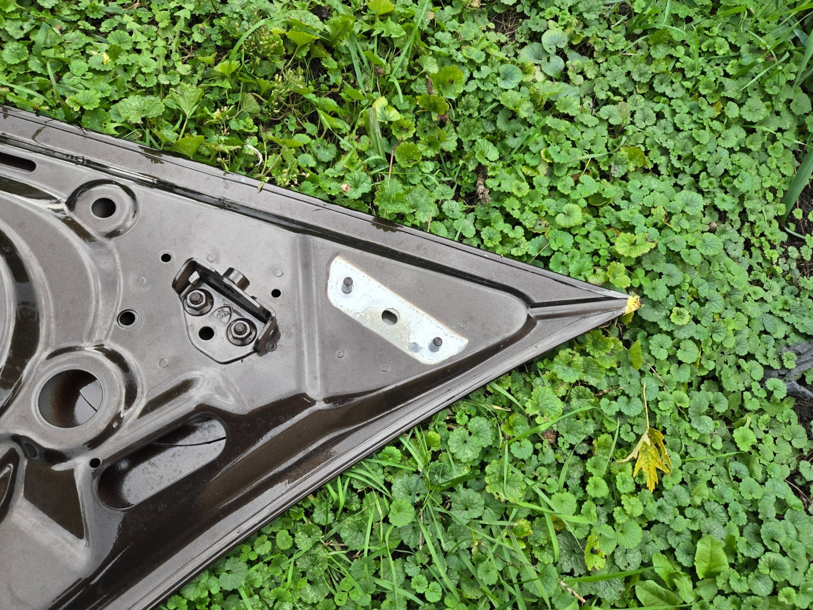 2015 - 2023 Lamborghini Huracan Front Hood Bonet Lid Panel 4T0823021C OEM