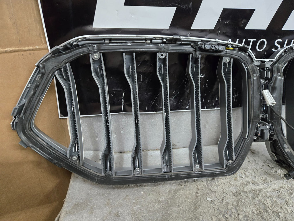 2025 2026 BMW G05 G06 LCI X5 X6 Illuminated Iconic Glow Light Grille Silver OEM