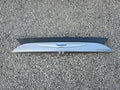 17-24 Chrysler Pacifica Liftgate Applique License Lamp w/ Camera 5RL88JSCAH OEM
