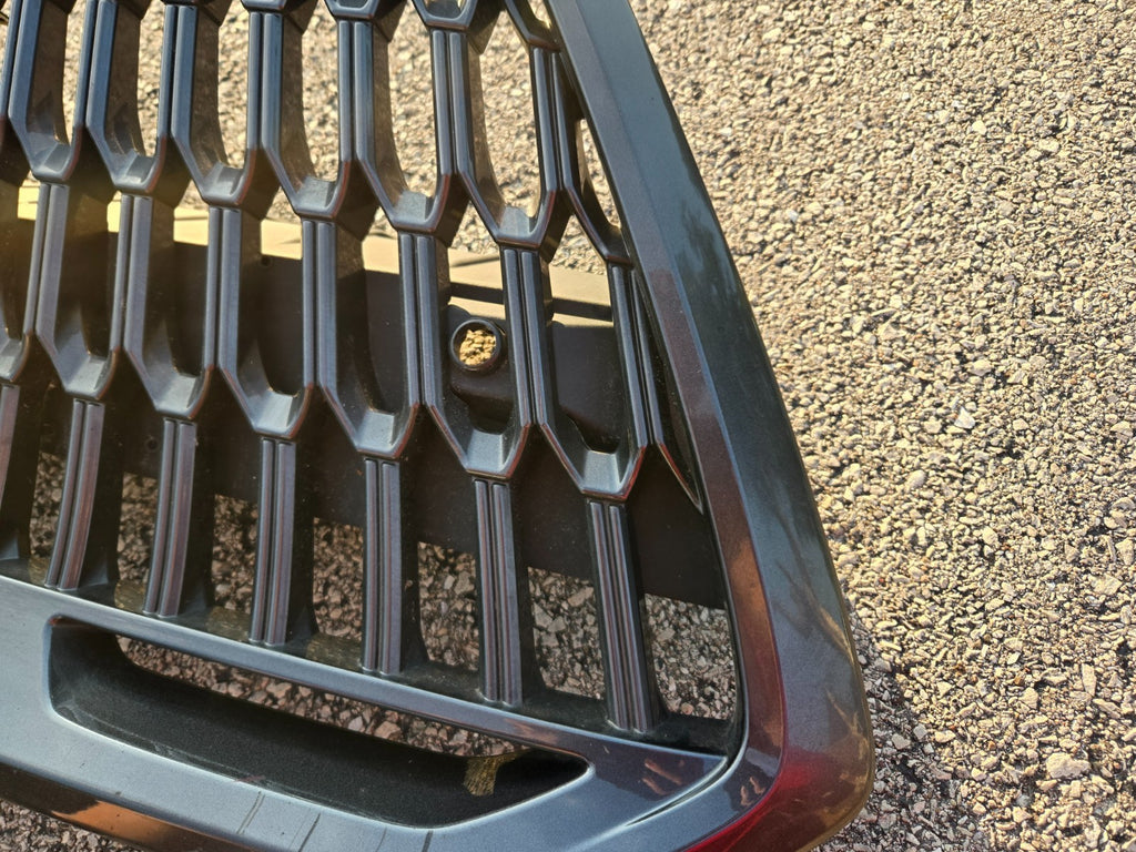 2022-2024 Lexus NX350 NX250 FSport Grille Front Radiator Grille 53111-F6030 OEM