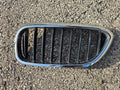 2017 - 2019 BMW 5-SERIES G30 LEFT LH DRIVER KIDNEY GRILLE CHROME 51137383519 OEM