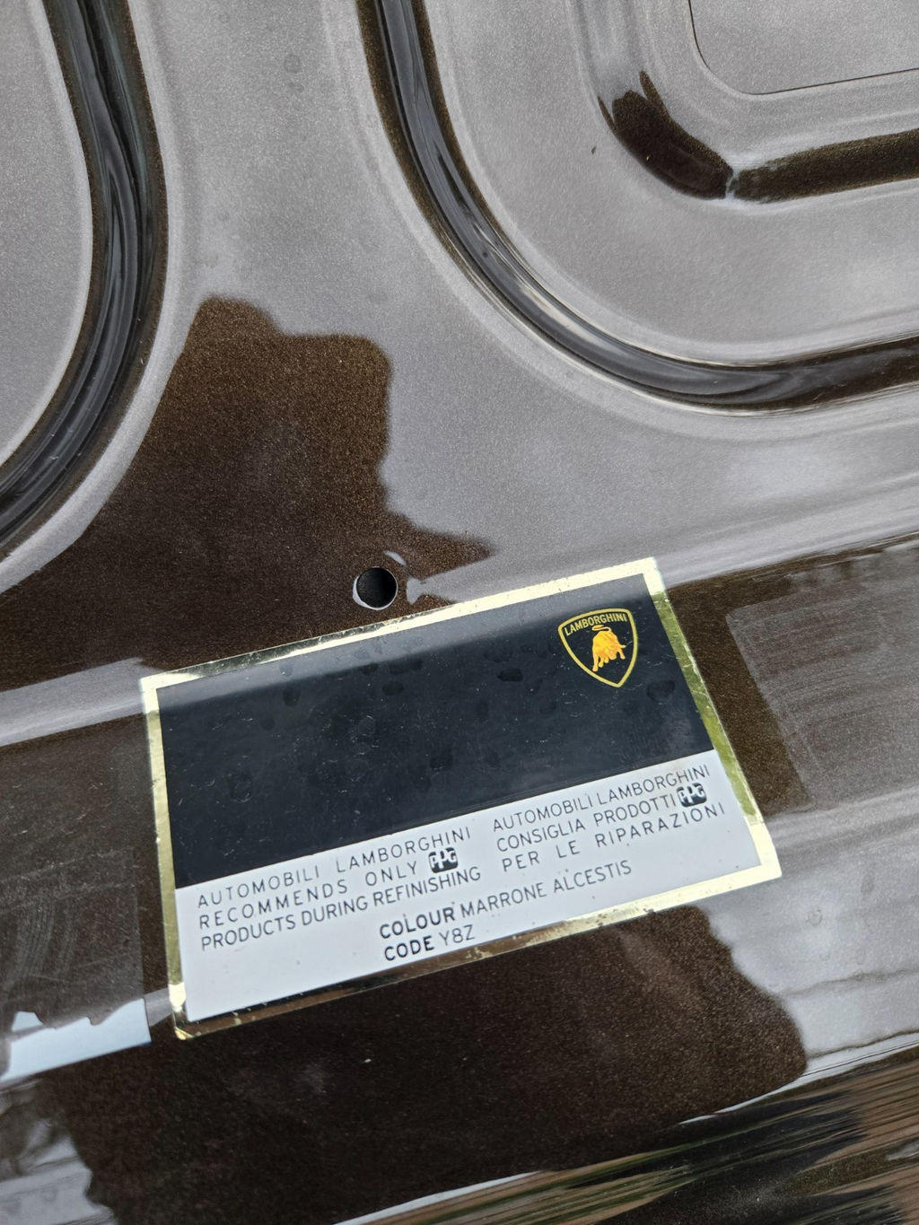 2015 - 2023 Lamborghini Huracan Front Hood Bonet Lid Panel 4T0823021C OEM