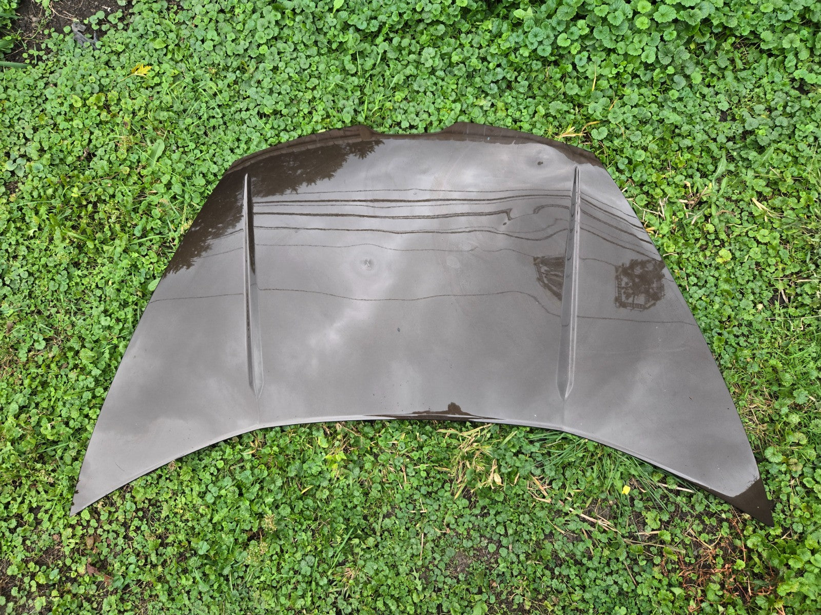 2015 - 2023 Lamborghini Huracan Front Hood Bonet Lid Panel 4T0823021C OEM