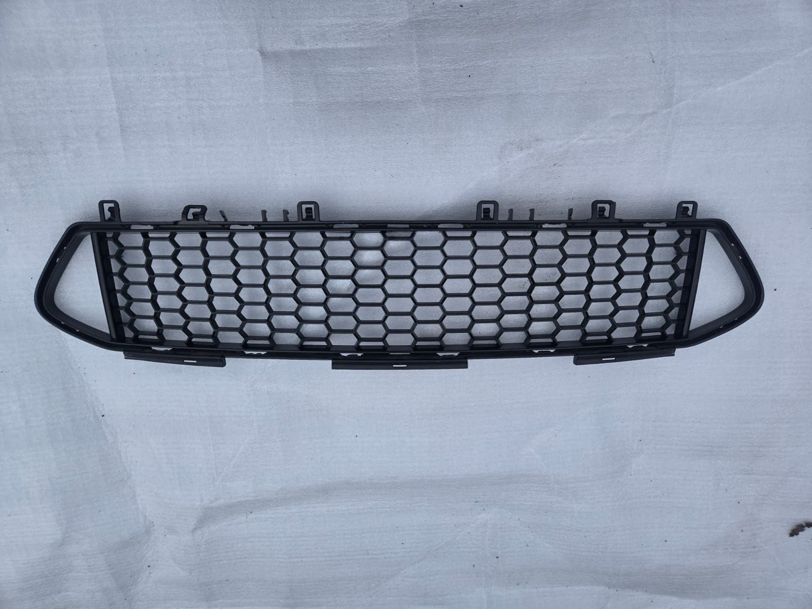 BMW M2 2019-2021 Front Lower Grille 51118097500 Genuine OEM