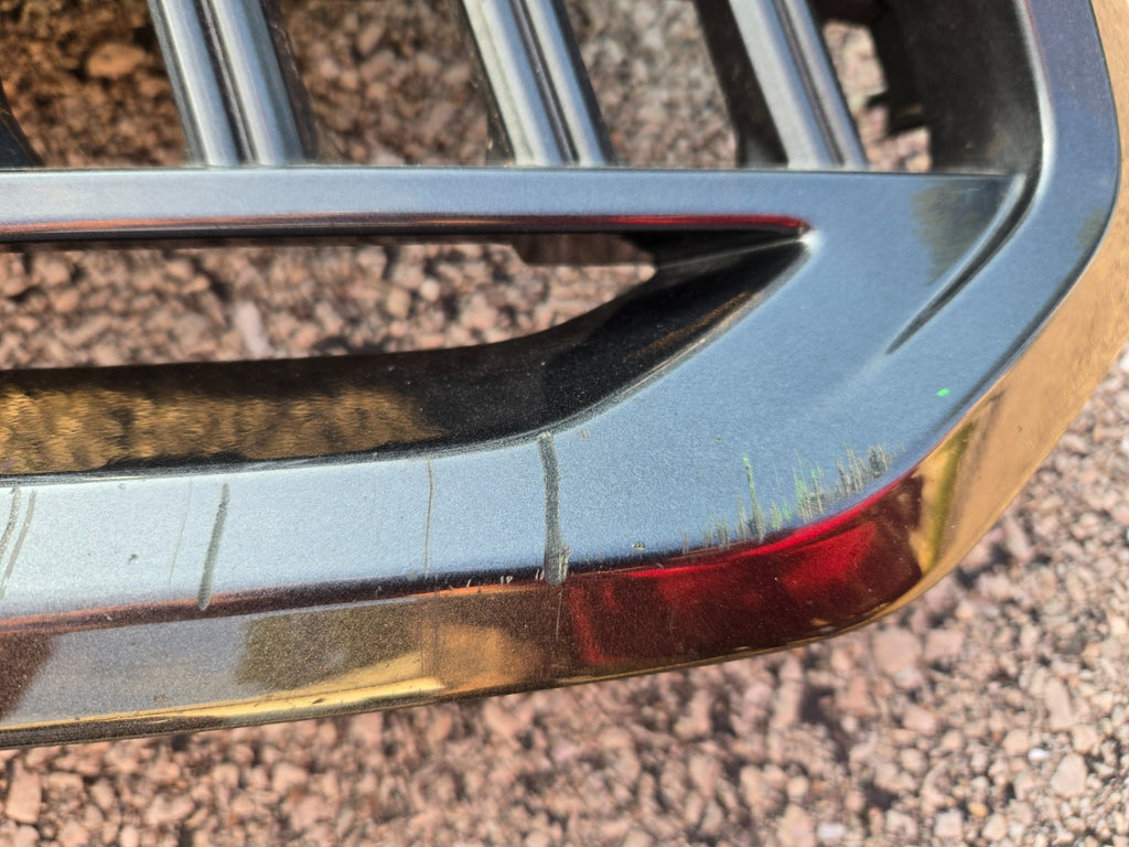 2022-2024 Lexus NX350 NX250 FSport Grille Front Radiator Grille 53111-F6030 OEM