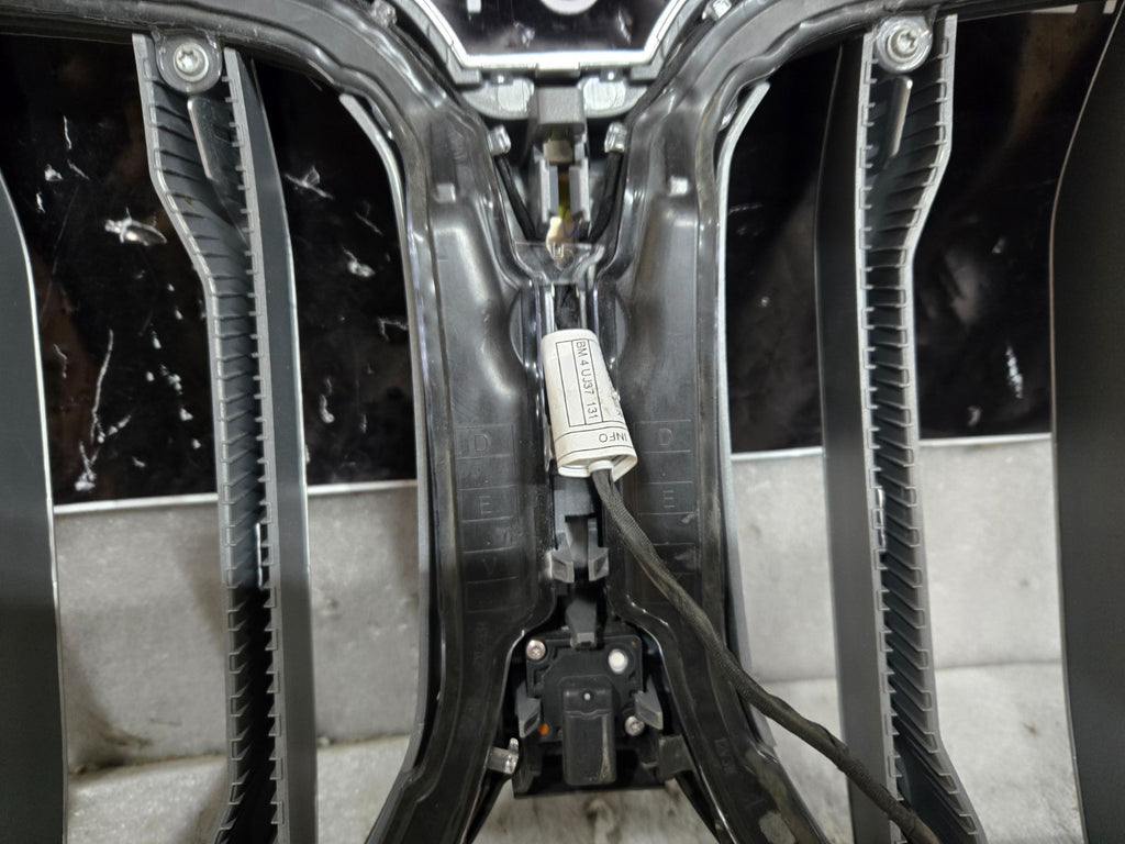 2025 2026 BMW G05 G06 LCI X5 X6 Illuminated Iconic Glow Light Grille Silver OEM